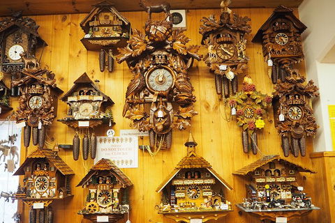 O'Reilly's & Lamington National Park From Gold Coast - Kempsey Accommodation 5