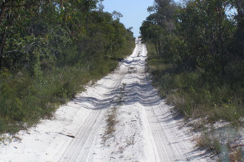 Stradbroke Island 4WD Day Trip From Brisbane - Kempsey Accommodation 2