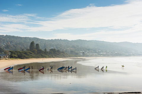 LGBT+ Friendly 12-Hour Great Ocean Road Private Tour - Kempsey Accommodation 2