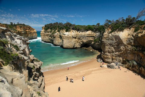 LGBT+ Friendly 12-Hour Great Ocean Road Private Tour - Kempsey Accommodation 5