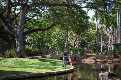 Darwin City Sights And Jumping Crocodile Cruise - Kempsey Accommodation 5