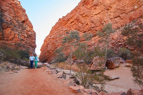 Best Of Alice Springs Full Day Tour - Kempsey Accommodation 1