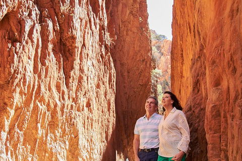 Best Of Alice Springs Full Day Tour - Kempsey Accommodation 4