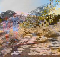 Kings Canyon Day Trip from Ayers Rock Uluru - Kempsey Accommodation