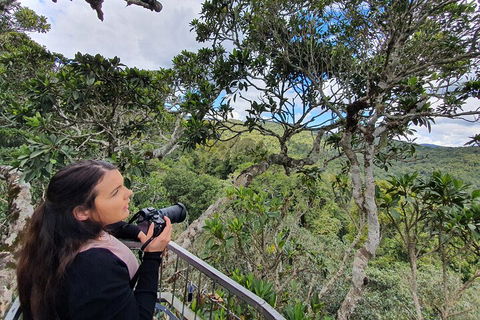 Lamington National Park, O'Reilly's & Vineyard Tour - Kempsey Accommodation 1
