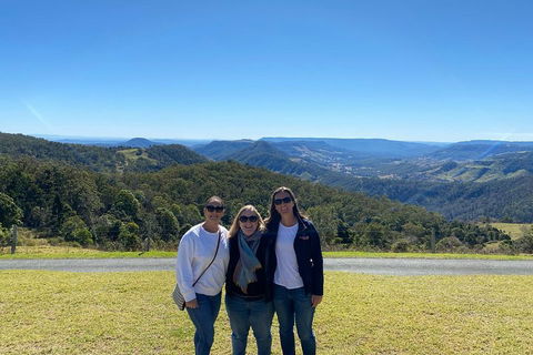Lamington National Park, O'Reilly's & Vineyard Tour - Kempsey Accommodation 3