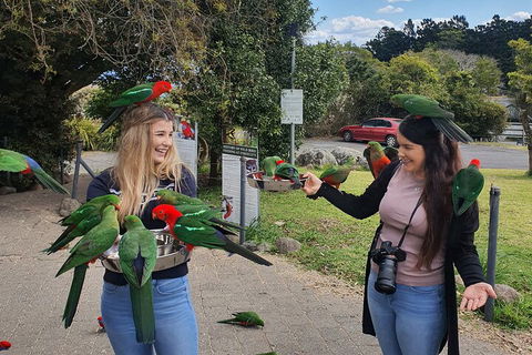 Lamington National Park, O'Reilly's & Vineyard Tour - Kempsey Accommodation 5