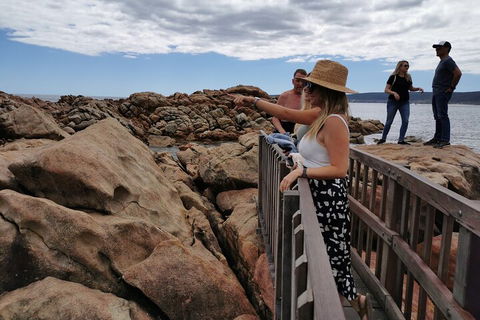 Margaret River Impression Day Tour From Perth - Kempsey Accommodation 4