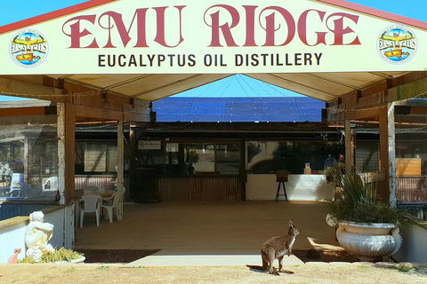 Full-Day Kangaroo Island Safari From Penneshaw - Kempsey Accommodation 2