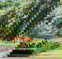 Tropical Fruit World Farm Full Tour - Kempsey Accommodation