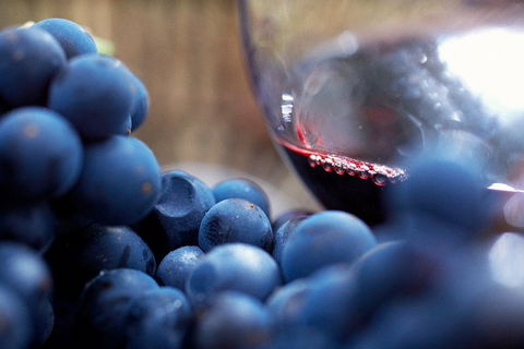 Yarra Valley 2-6 Guests Premium Food And Wine Inc Lunch At Dominique Portet - Kempsey Accommodation 5