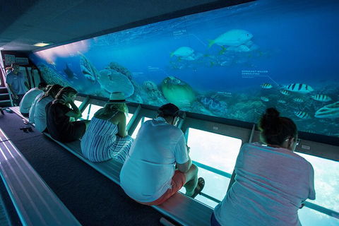 Great Barrier Reef Day Cruise To Reefworld - Kempsey Accommodation 0