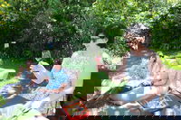 Deluxe Winery Tour to Tamborine Mountain includes gourmet two course lunch, Brisbane