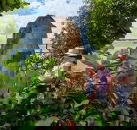 3 Day Cape Tribulation  Cooktown Tour from Cairns or Port Douglas - Kempsey Accommodation