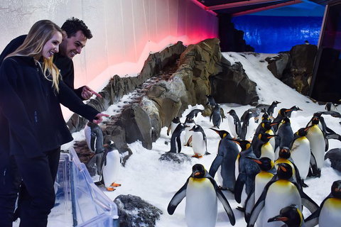 Penguin Passport At SEA LIFE Melbourne Aquarium - Kempsey Accommodation 0