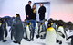 Penguin Passport At SEA LIFE Melbourne Aquarium - thumb 4