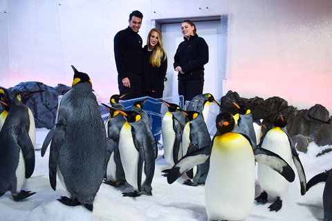Penguin Passport At SEA LIFE Melbourne Aquarium - Kempsey Accommodation 4