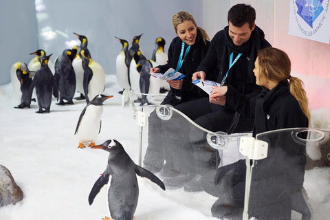 Penguin Passport At SEA LIFE Melbourne Aquarium - Kempsey Accommodation 5