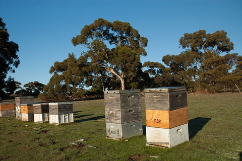 Fine Flavours - Full Day Kangaroo Island Food & Wine Tour - Kempsey Accommodation 1