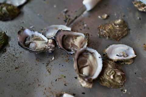 Fine Flavours - Full Day Kangaroo Island Food & Wine Tour - Kempsey Accommodation 2