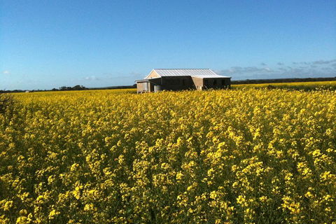 Fine Flavours - Full Day Kangaroo Island Food & Wine Tour - Kempsey Accommodation 3