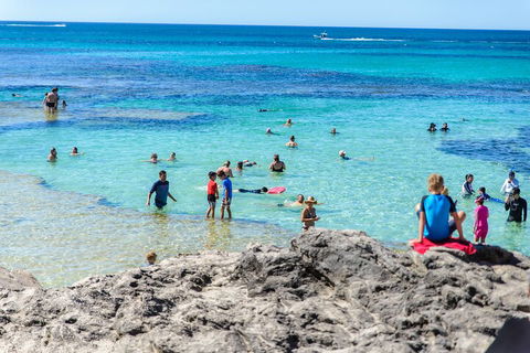 Rottnest Island Roundtrip Fast Ferry From Hillarys Boat Harbour - Kempsey Accommodation 1