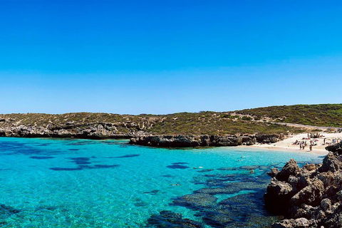 Rottnest Island Roundtrip Fast Ferry From Hillarys Boat Harbour - Kempsey Accommodation 4