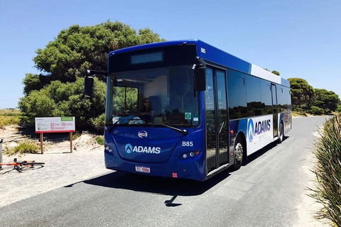 Rottnest Bayseeker Bus Tour From Hillarys Boat Harbour - Kempsey Accommodation 0