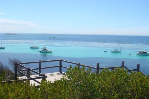 Rottnest Bayseeker Bus Tour From Hillarys Boat Harbour - Kempsey Accommodation 3