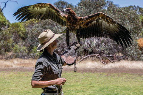 One Day Kangaroo Island Sip & See Tour With Return Ferry Transfers From Adelaide - Kempsey Accommodation 0
