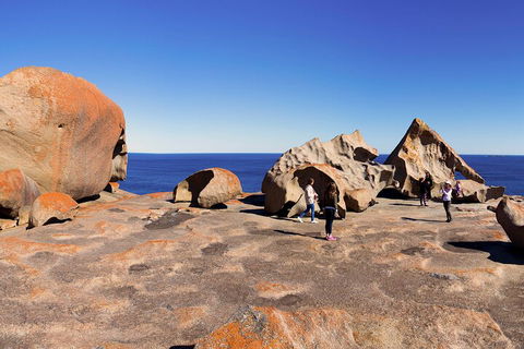 Full-Day Kangaroo Island Experience Departing From Kangaroo Island - Kempsey Accommodation 4