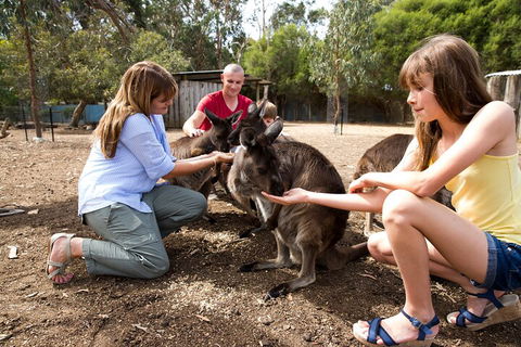 Full-Day Kangaroo Island Experience Departing From Kangaroo Island - Kempsey Accommodation 5