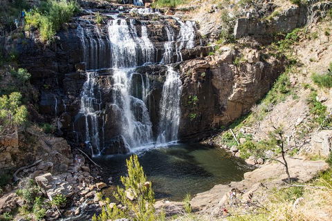 Grampians National Park With Kangaroos And MacKenzie Falls From Melbourne - Kempsey Accommodation 1