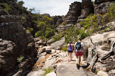 Grampians National Park With Kangaroos And MacKenzie Falls From Melbourne - Kempsey Accommodation 3