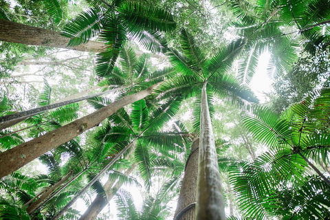 Fraser Explorer K'gari 2-Day Tour - Kempsey Accommodation 2