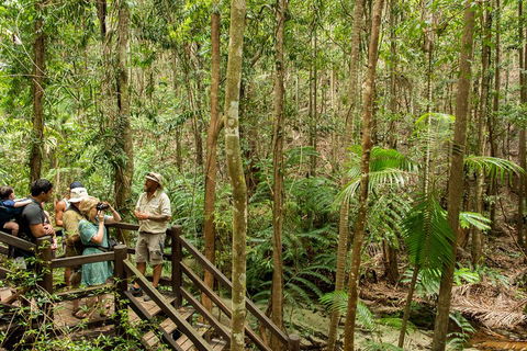 Fraser Explorer K'gari 2-Day Tour - Kempsey Accommodation 5