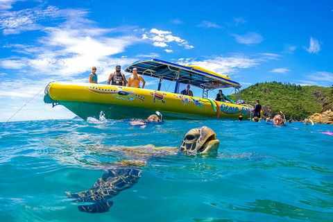 Great Barrier Reef Scenic Flight And Ocean Rafting Whitehaven Beach Day Trip - Kempsey Accommodation 1