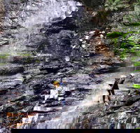 Full-Day Canyoning Experience at Stunning Empress Canyon - Kempsey Accommodation
