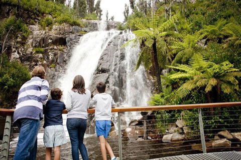 Lake Mountain Snow Trip Including Yarra Valley Chocolaterie From Melbourne - Kempsey Accommodation 0
