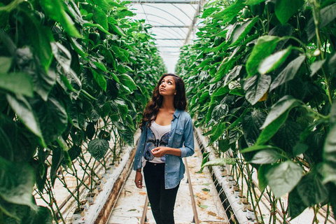 Yarra Valley Local Produce And Wine Tasting Tour - Kempsey Accommodation 0