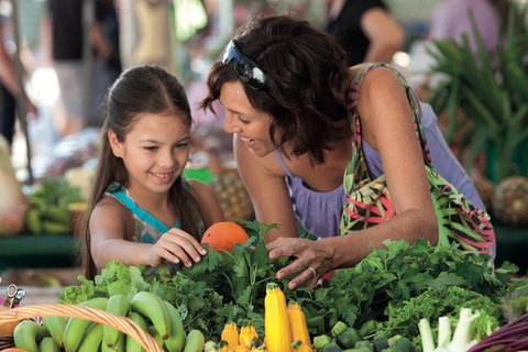 Sunshine Coast Eumundi Markets Return Minibus Transfer - Kempsey Accommodation 4