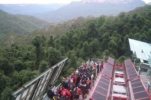 Blue Mountains Private Tour With Wildlife Park And River Cruise - Kempsey Accommodation 1