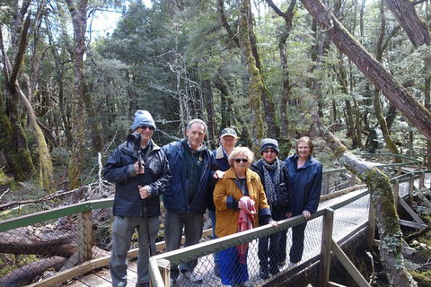 Blue Mountains Private Tour With Wildlife Park And River Cruise - Kempsey Accommodation 2