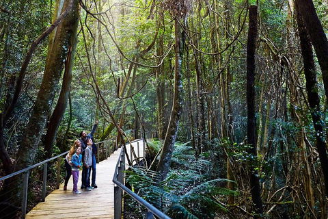 Blue Mountains Private Tour With Wildlife Park And River Cruise - Kempsey Accommodation 4