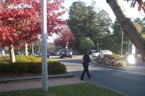 PRIVATE All-Day Blue Mountains Tour With Professional Guide For Up To 4 People - Kempsey Accommodation 1