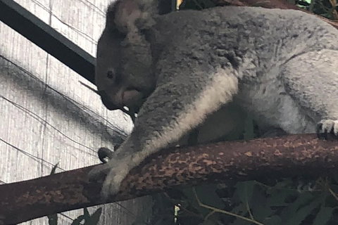 Perth Hills - Wildlife, Art & Gastronomy - Kempsey Accommodation 3