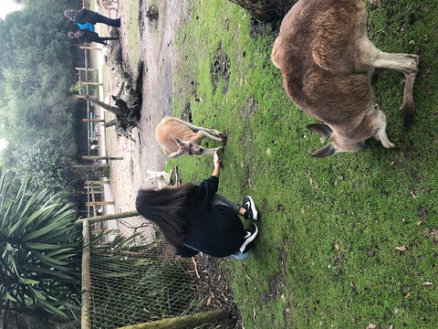 Perth Hills - Wildlife, Art & Gastronomy - Kempsey Accommodation 4