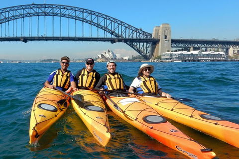 Kayak To Goat Island In Sydney Harbour With Local - Kempsey Accommodation 5