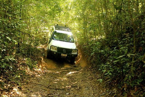 Barron Gorge And Kuranda National Park Half Day Rainforest And Waterfall 4WD Tour From Cairns - Kempsey Accommodation 2