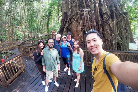 Barron Gorge And Kuranda National Park Half Day Rainforest And Waterfall 4WD Tour From Cairns - Kempsey Accommodation 5